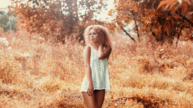 Picture